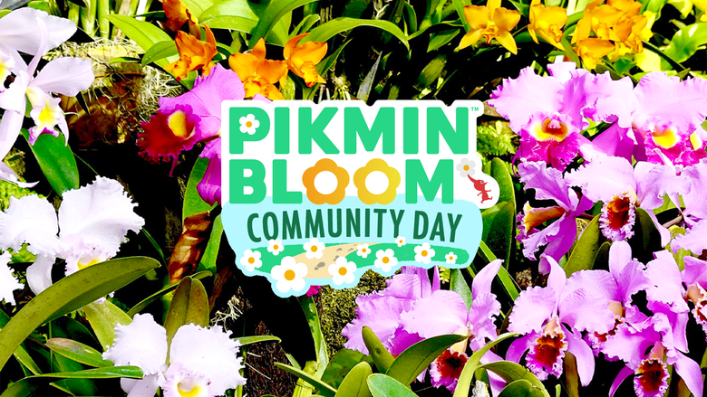 Pikmin Bloom Community Day set for January 13th & 14th