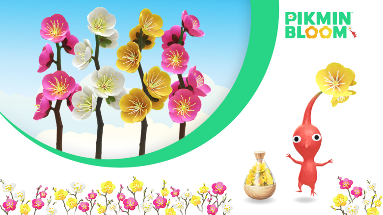 Pikmin Bloom February 2024 Big Flower Forecast and Community Day Detailed