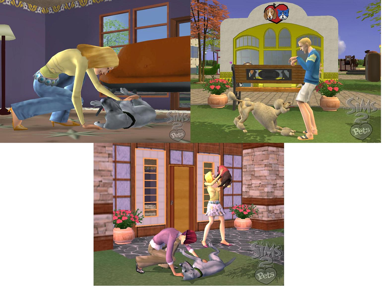 Sims 2 Wii