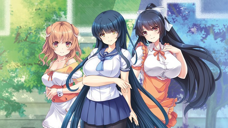 Lewd Puzzle Game Series Pretty Girls Getting Another In Physical Release In Europe Will