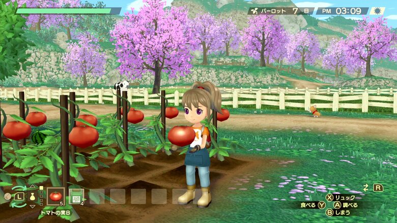 Farming details shared for STORY OF SEASONS: A Wonderful Life