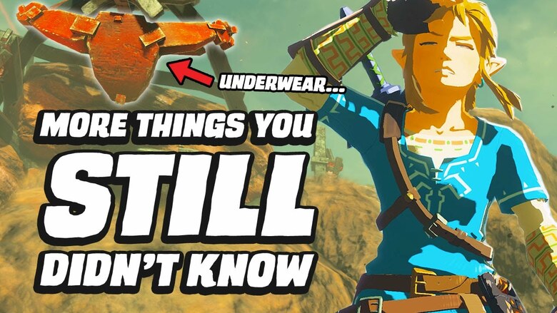 GameSpot shares another round of things you might not know about Zelda: Breath of the Wild