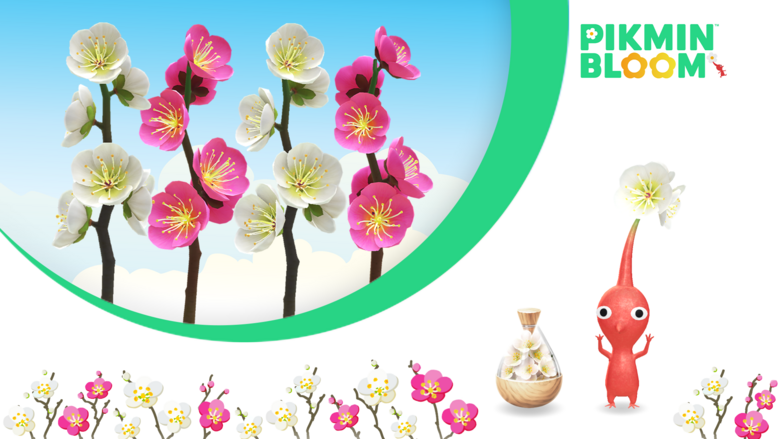 Pikmin Bloom February 2023 Big Flower Forecast