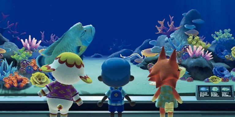 Take a look at the real-life aquarium that hosted an Animal Crossing: New Horizons stamp rally