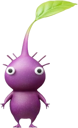 Purple: In the Pikmin series purple Pikmin are the true strongest Pikmin type complete with hefty weight which slows them down when running. In Smash the purples are also the slowest and heaviest of the bunch and when thrown they fly a much shorter distance and just bounce off the enemy instead of latching on. This is a trait that the Rock Pikmin would acquire in Pikmin 3.