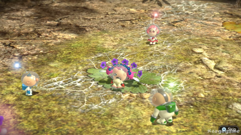 While there's never a point where you use the Winged Pikmin for this purpose, there is a section of Pikmin 3 where they can carry an unconscious Olimar, so... close enough!
