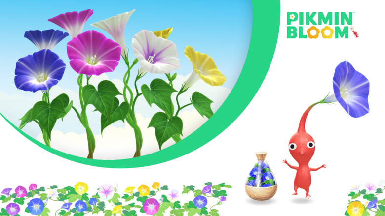 Pikmin Bloom Aug. 2024 Big Flower Forecast, Community Day Set For Aug. 17th/18th, 2024