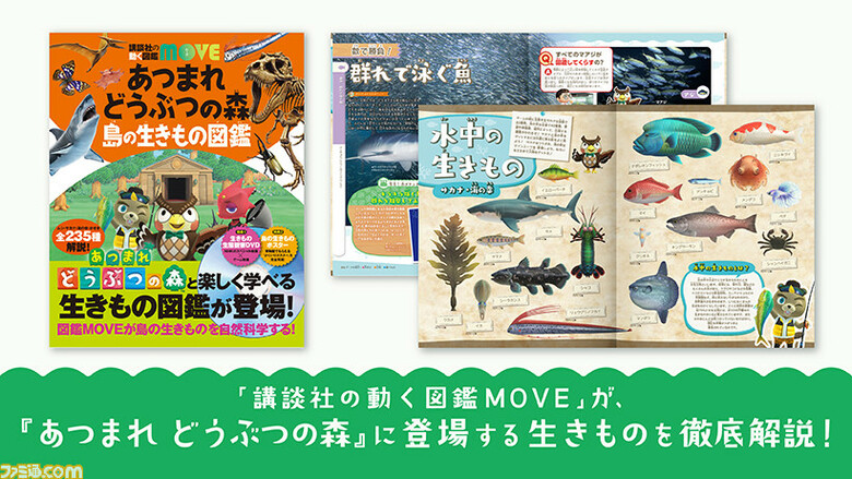 Animal Crossing: New Horizons nature encyclopedia announced for Japan