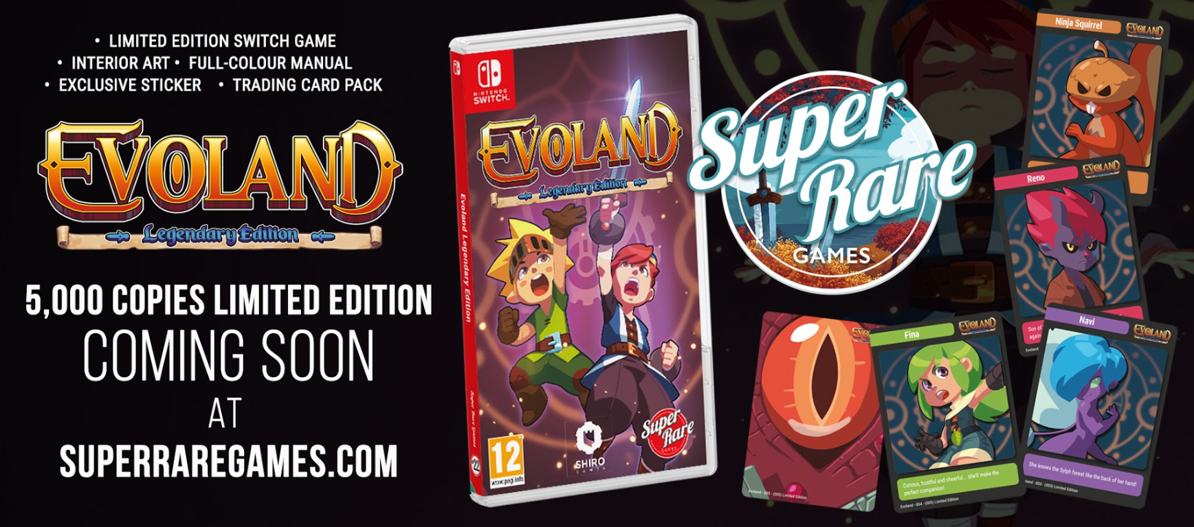 evoland switch physical release