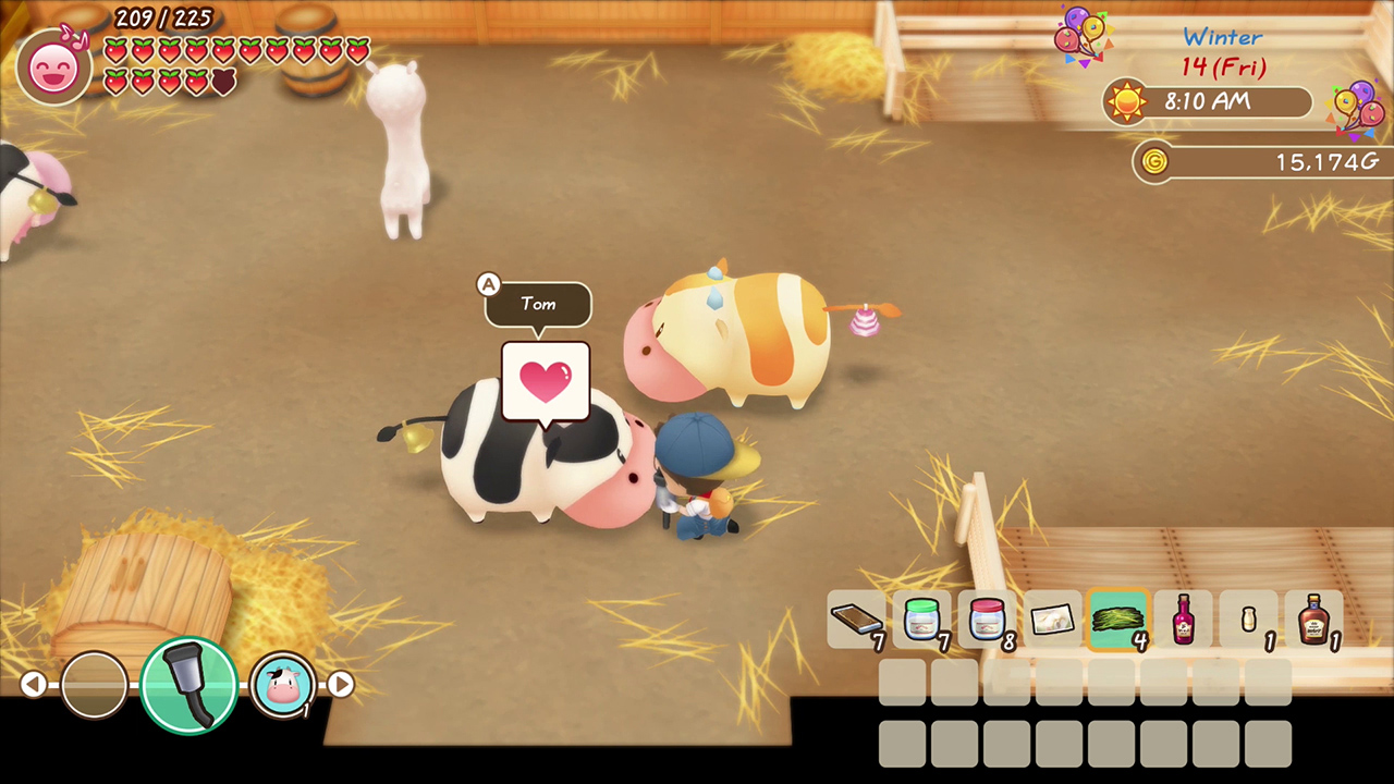 story of seasons friends of mineral town switch north america