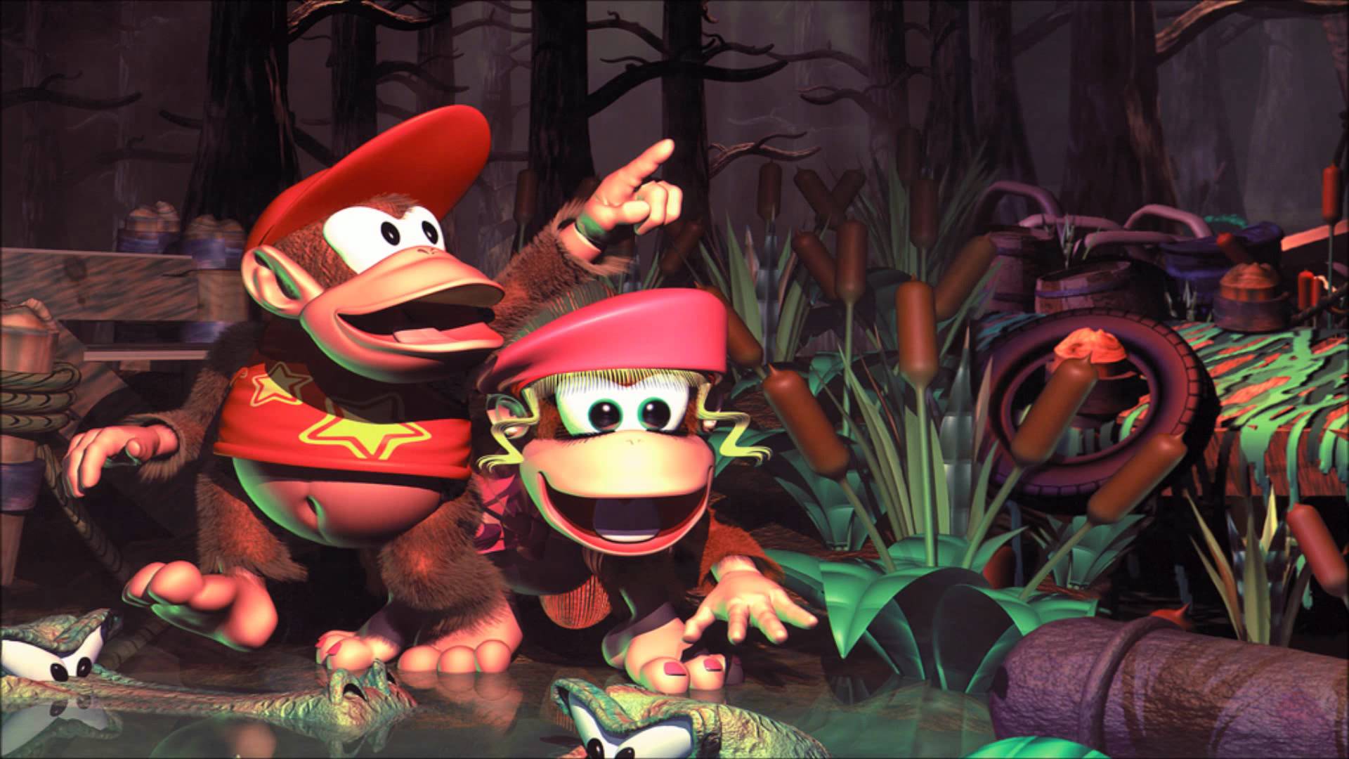 donkey kong country 2 controls