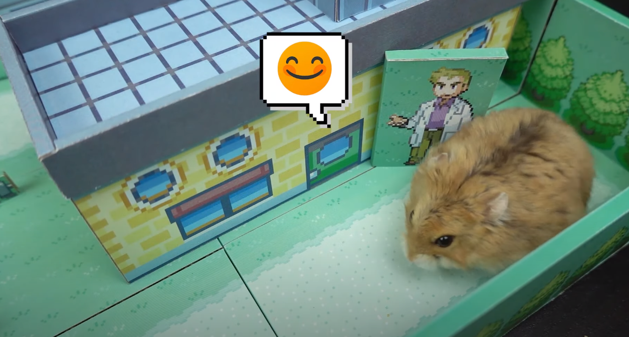 pokemon hamster maze